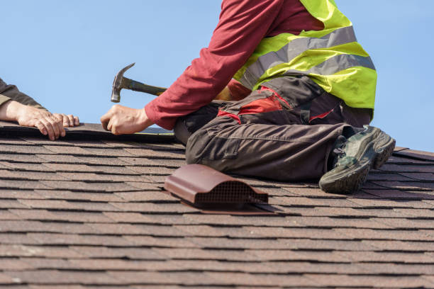 Best Commercial Roofing Services  in Paw Paw Lake, MI
