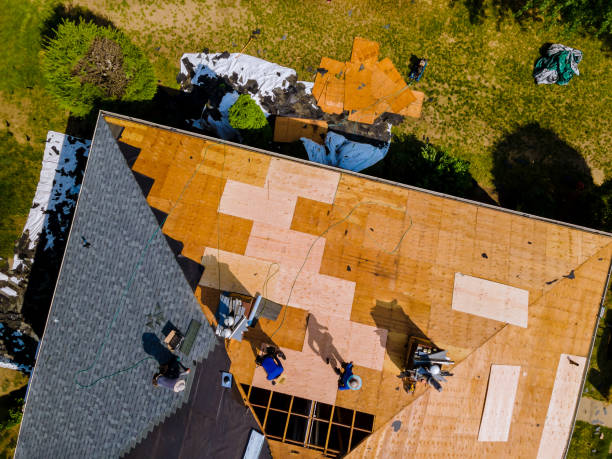 Best Roof Restoration Services  in Paw Paw Lake, MI