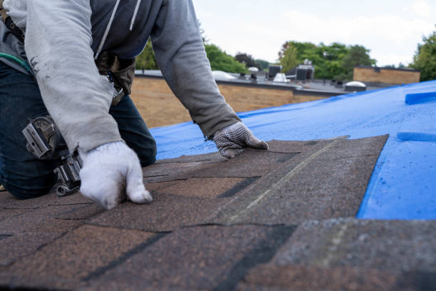 Gutter Installation and Roofing in Paw Paw Lake, MI