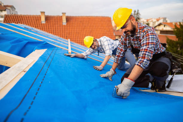 Best Metal Roofing Contractor  in Paw Paw Lake, MI