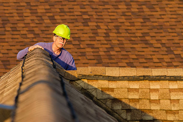 Best Roof Repair Services  in Paw Paw Lake, MI