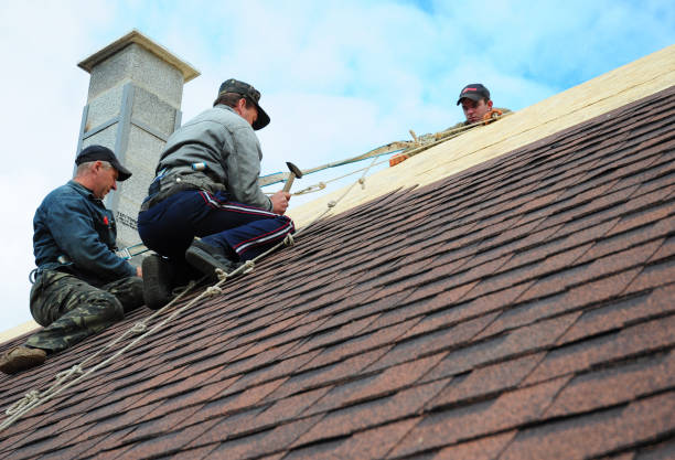 Best Shingle Roofing Installation  in Paw Paw Lake, MI